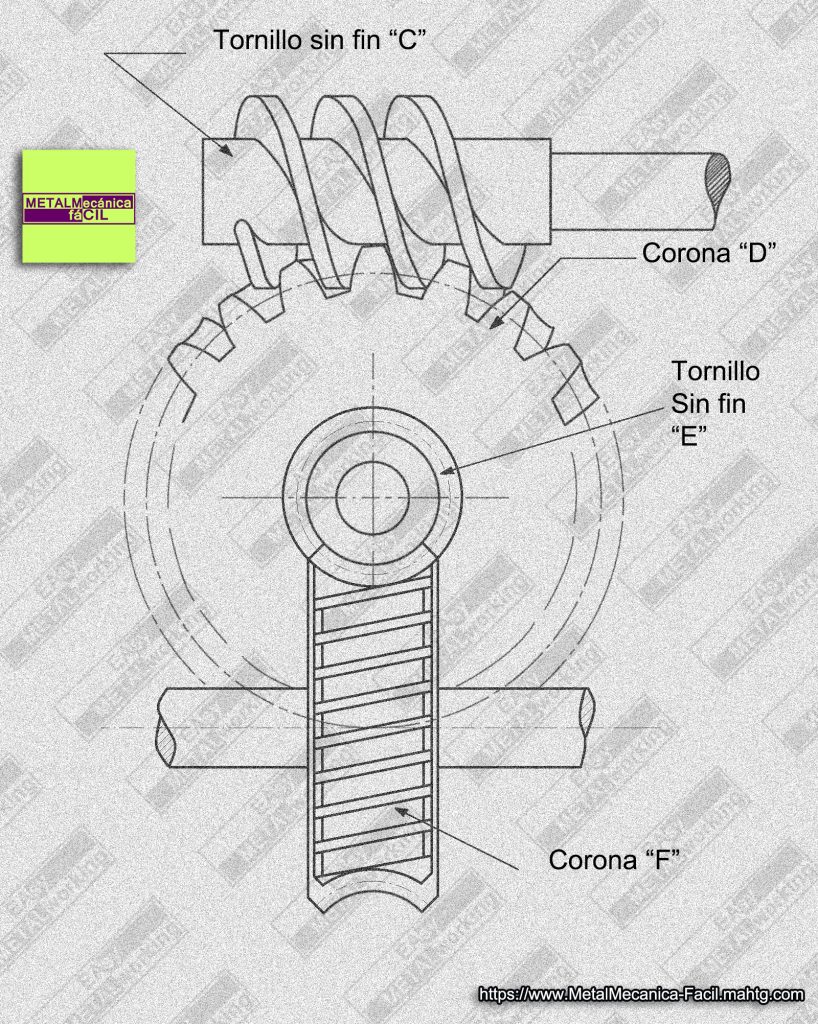 Casos de Relación Tornillo Sin Fin y Corona